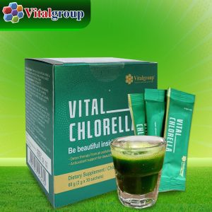 Tảo Vital Chlorella Tăng Cường Hệ Miễn Dịch